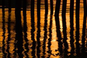 gratitude-reflection Gratitude Reflection