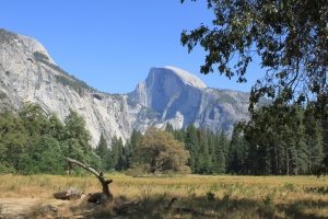 Gratitude-Half-Dome