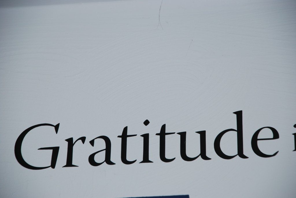 The What, Why, and How of Gratitude